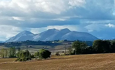 Finca Santa Eufemia en Olmos de Ojeda (Palencia) - Foto 17