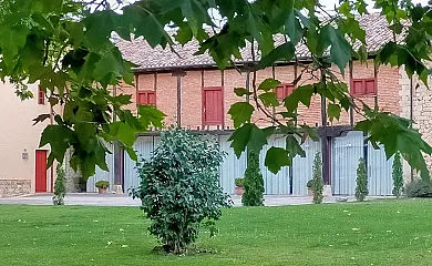 Finca Santa Eufemia en Olmos de Ojeda (Palencia) - Foto 20