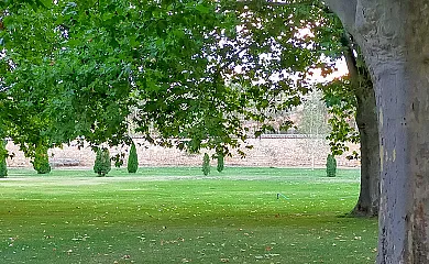 Finca Santa Eufemia en Olmos de Ojeda (Palencia) - Foto 24