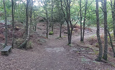 Casa da Canella y  Ás Portas do Sil en Nogueira De Ramuin (Ourense) - Foto 12