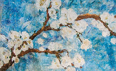 Cal Tomàs en Bot (Tarragona) - Foto 20