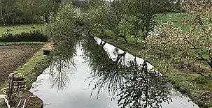 Molino Solapeña 0019