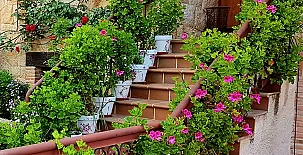 Casa Entre Rosales 002