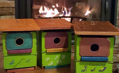 Campacruz en Puyarruego (Huesca) - Foto 11