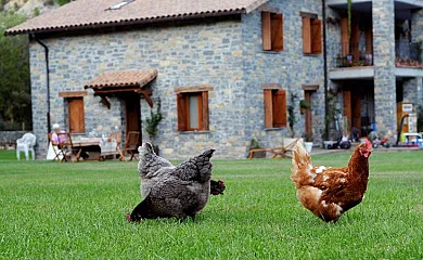 Campacruz en Puyarruego (Huesca) - Foto 18