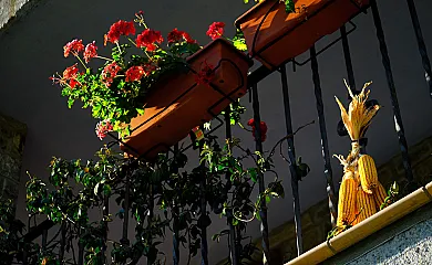 Campacruz en Puyarruego (Huesca) - Foto 20