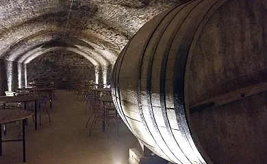 El Lagar de la Navazuela en La Rasa (Soria) - Foto 9