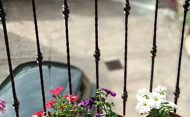 Casa Rural La Mimosa en Pielagos (Cantabria) - Foto 6