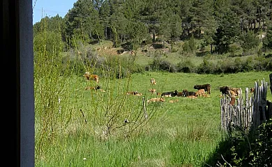 La Cabezuela en Talveila (Soria) - Foto 14