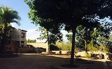 Molino de Zuacorta en Daimiel (Ciudad Real) - Foto 15