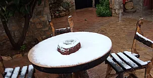 El Niu del Pardal 0028