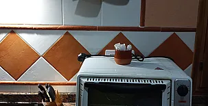 El Niu del Pardal 0029