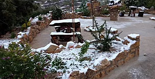 El Niu del Pardal 0030