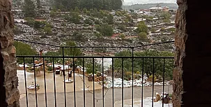 El Niu del Pardal 0035