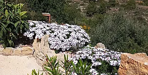 El Niu del Pardal 0047