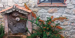 El Niu del Pardal 0048