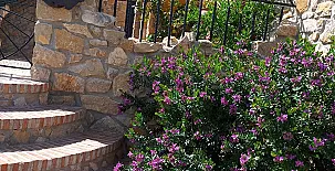 El Niu del Pardal 0049