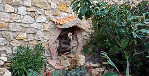 El Niu del Pardal 0050