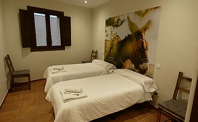 A ritmo de Burro en Robledondo (Madrid) - Foto 11