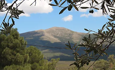 Casa Los Tres Olivos en Campillo de Ranas (Guadalajara) - Foto 10