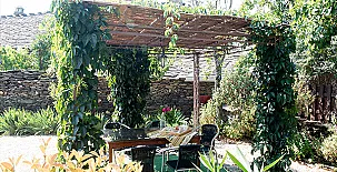 Casa Los Tres Olivos 005