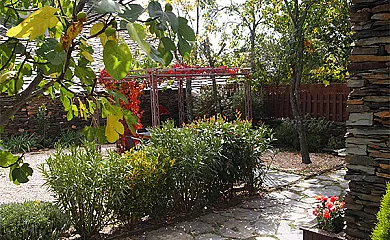 Casa Los Tres Olivos en Campillo de Ranas (Guadalajara) - Foto 4