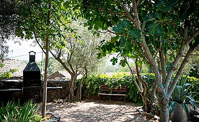 Casa Los Tres Olivos en Campillo de Ranas (Guadalajara) - Foto 7