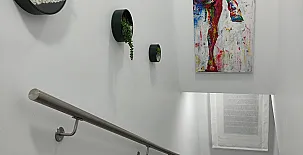 El Rincón de Moreno 005