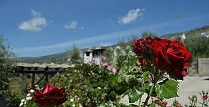 Balcón de Válor 0016