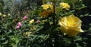 Balcón de Válor 0017