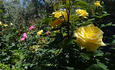 Balcón de Válor en Valor (Granada) - Foto 17
