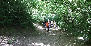 Bungalows Laspaúles 0033