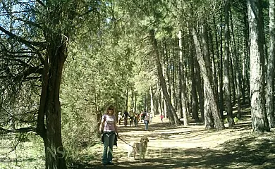 Cañón de Río Lobos I y II en Casarejos (Soria) - Foto 18