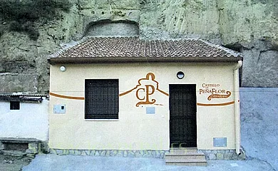 Cueva Rural Castillo de Peñaflor en Valtierra (Navarra) - Foto 1