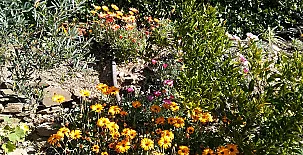 La Cabaña Romántica  Del Llano 0019