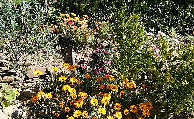 La Cabaña Romántica  Del Llano en Valencia de Alcántara (Cáceres) - Foto 19