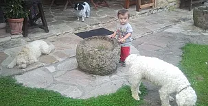 Casas Rurales El Terrero 0026