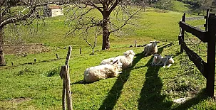 Casas Rurales El Terrero 0029