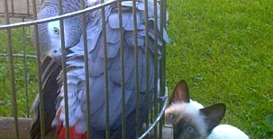 Casas Rurales El Terrero 0031