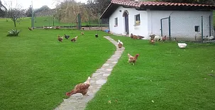 Casas Rurales El Terrero 0033