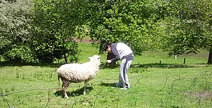 Casas Rurales El Terrero 0036