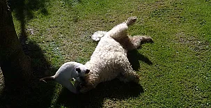 Casas Rurales El Terrero 0037