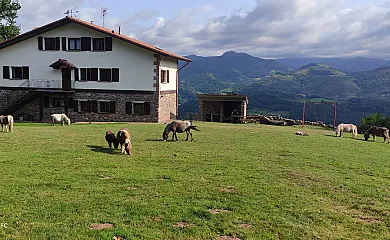 Autxikoborda bajo, I y II en Elizondo (Navarra) - Foto 10