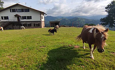 Autxikoborda bajo, I y II en Elizondo (Navarra) - Foto 12