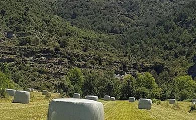 La Huerta en Roda de Isábena (Huesca) - Foto 8