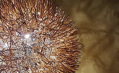 Mas Gasala en Taradell (Barcelona) - Foto 14