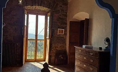 La Vinyeta en Sant Pere de Torello (Barcelona) - Foto 10