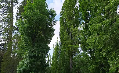Cortijo de La Losa en Huéscar (Granada) - Foto 25