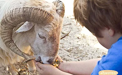 Casa Rural Momotegi Agroturísmo en Oiartzun (Guipuzcoa) - Foto 7