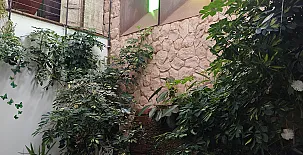 El Sueño de Lucrecia 0021